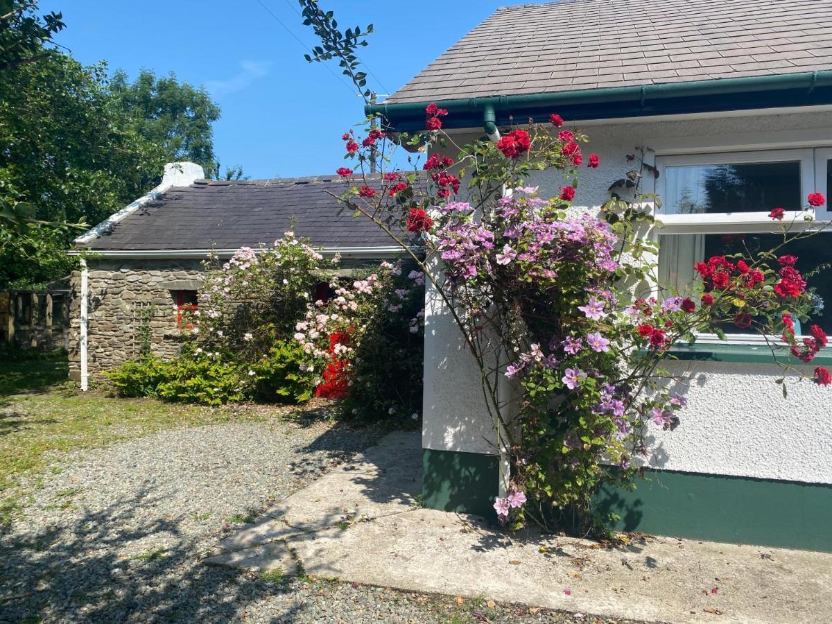 Hawthorn Cottage غرينكاسيل المظهر الخارجي الصورة
