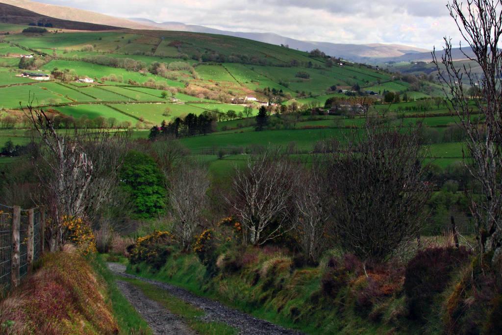 Hawthorn Cottage غرينكاسيل الغرفة الصورة